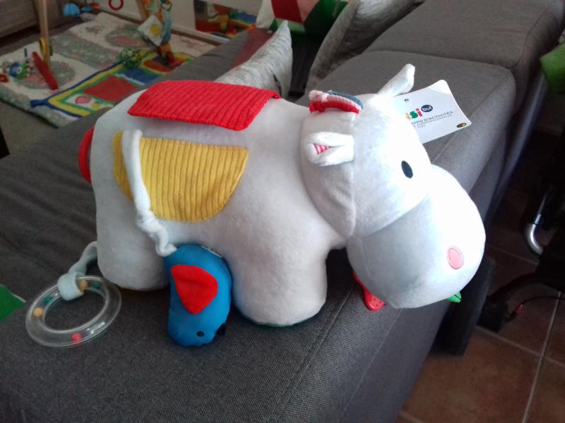 hippopotame oxybul